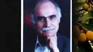 فریدون پوررضا حیرون حیرونه